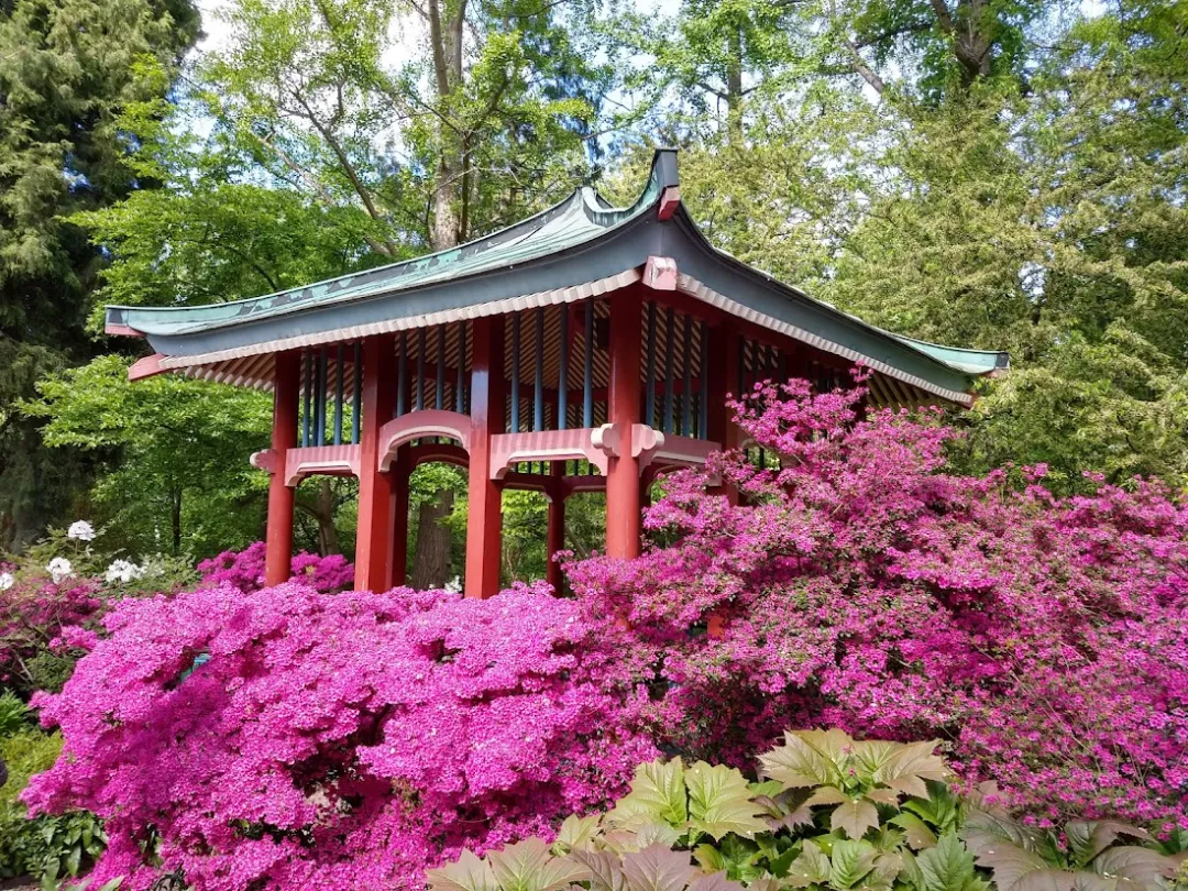 Botanischer Garten und Botanisches Museum – Foto 2