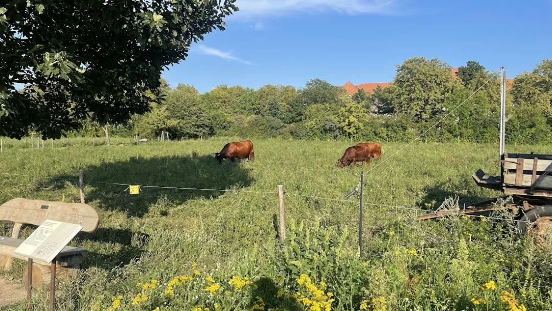 Domäne Dahlem – Foto 6