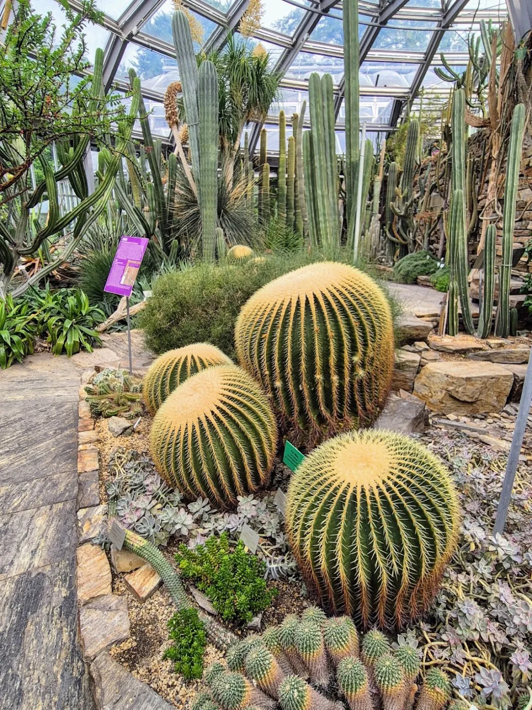 Botanischer Garten und Botanisches Museum – Foto 3