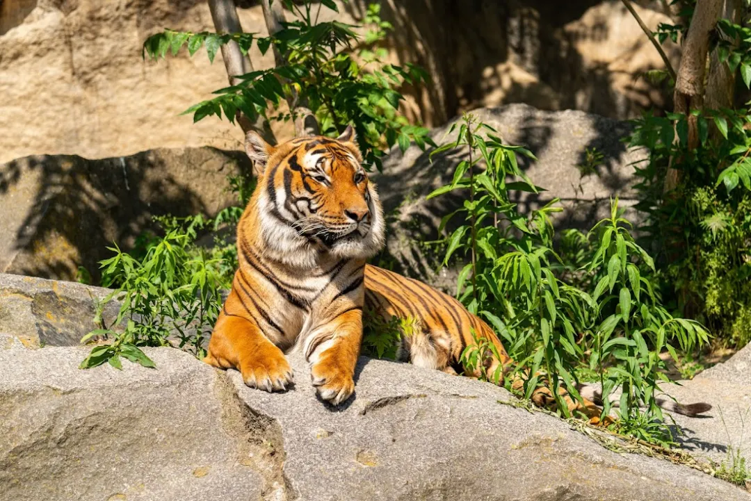 Tierpark Berlin – Foto 6