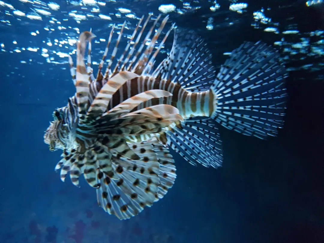 Aquarium Berlin – Foto 6