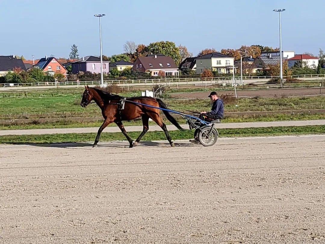 Trabrennbahn Karlshorst – Foto 4