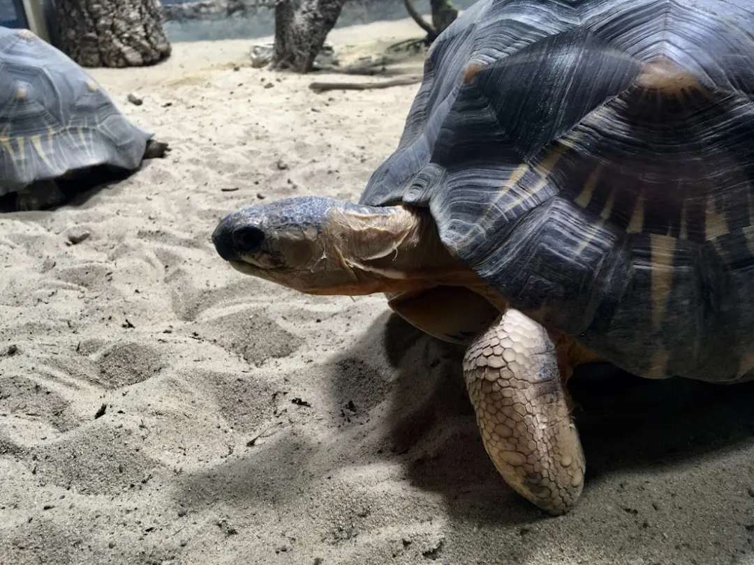 Aquarium Berlin – Foto 2