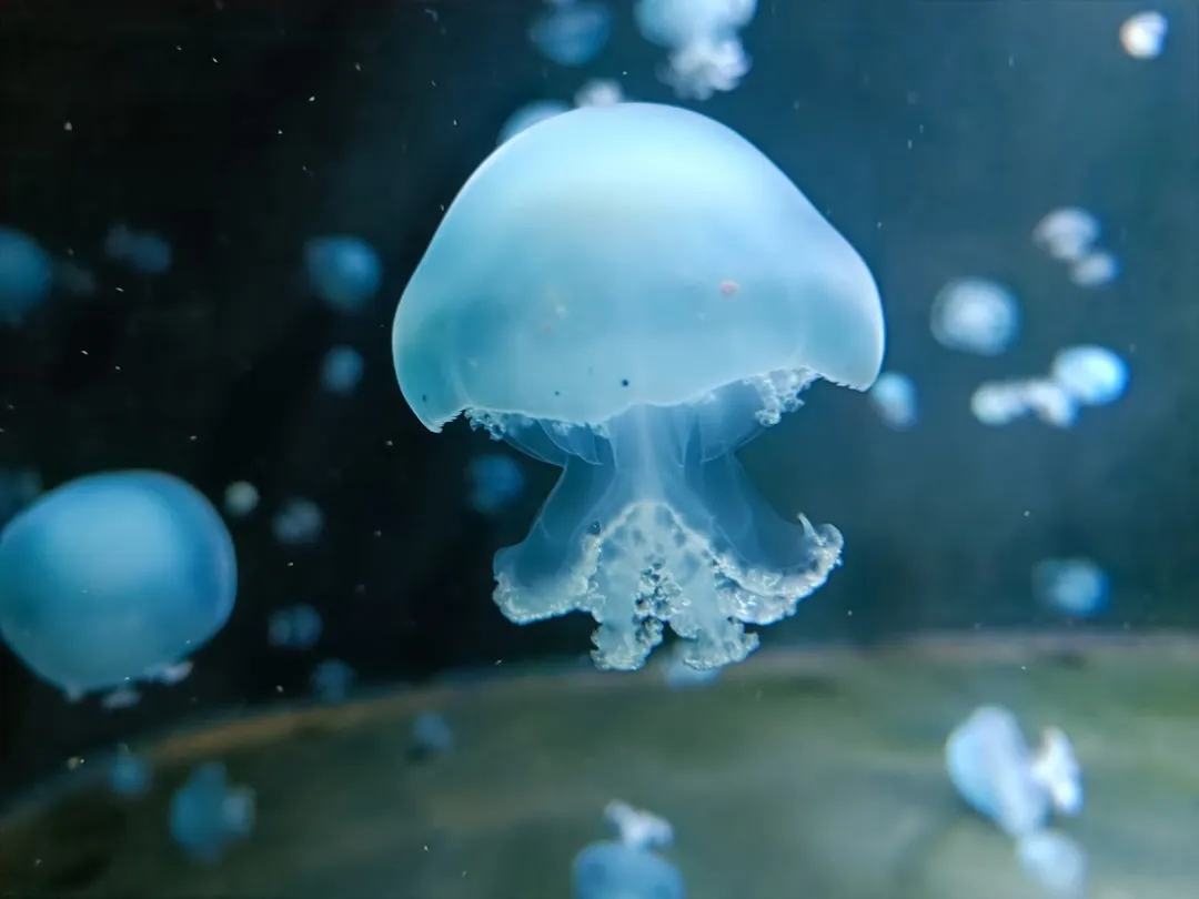 Aquarium Berlin – Foto 4