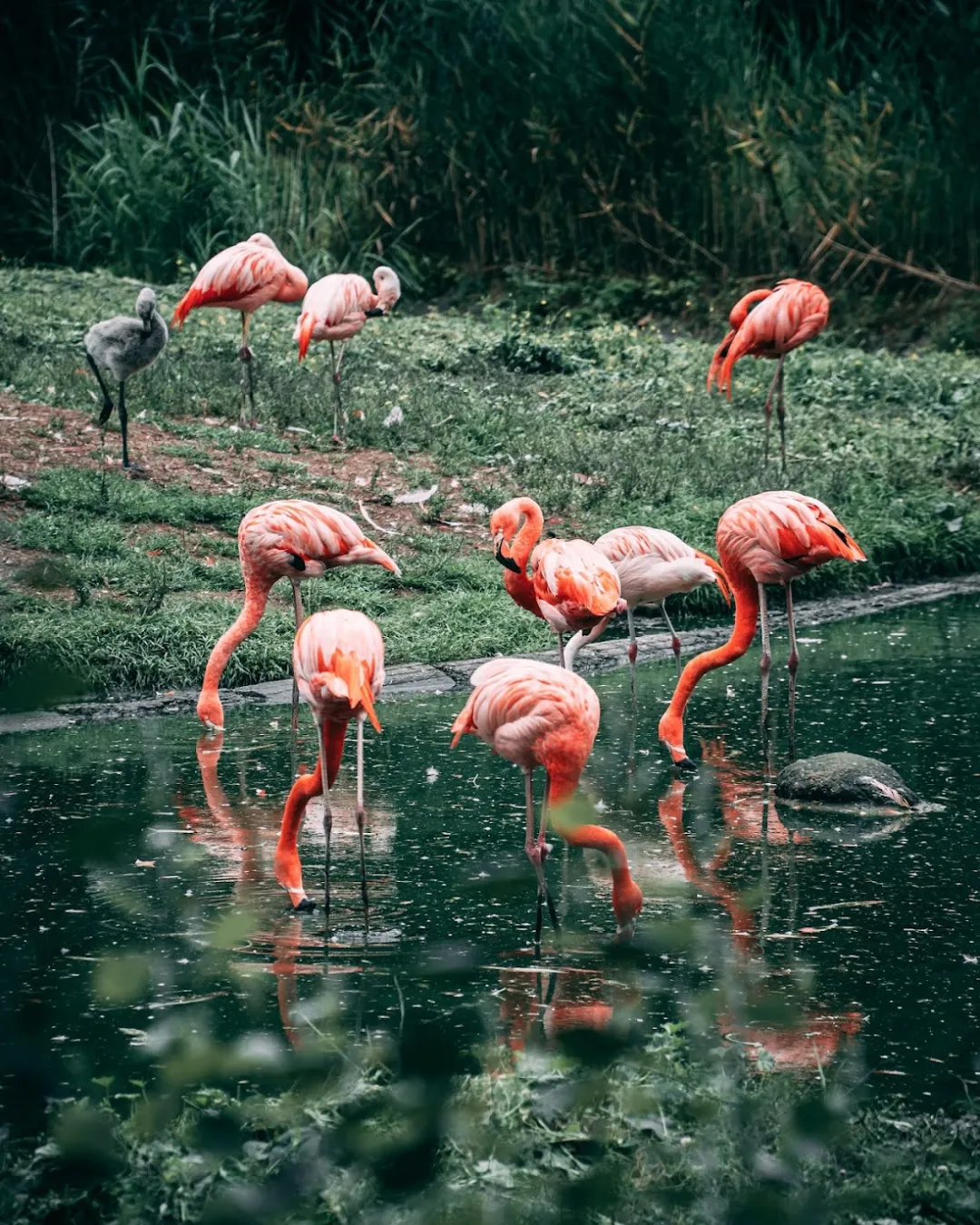 Tierpark Berlin – Foto 4