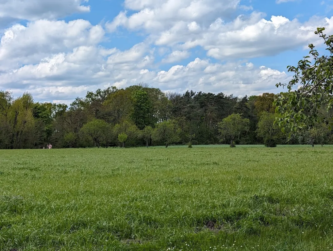 Botanischer Volkspark Blankenfelde-Pankow – Foto 2