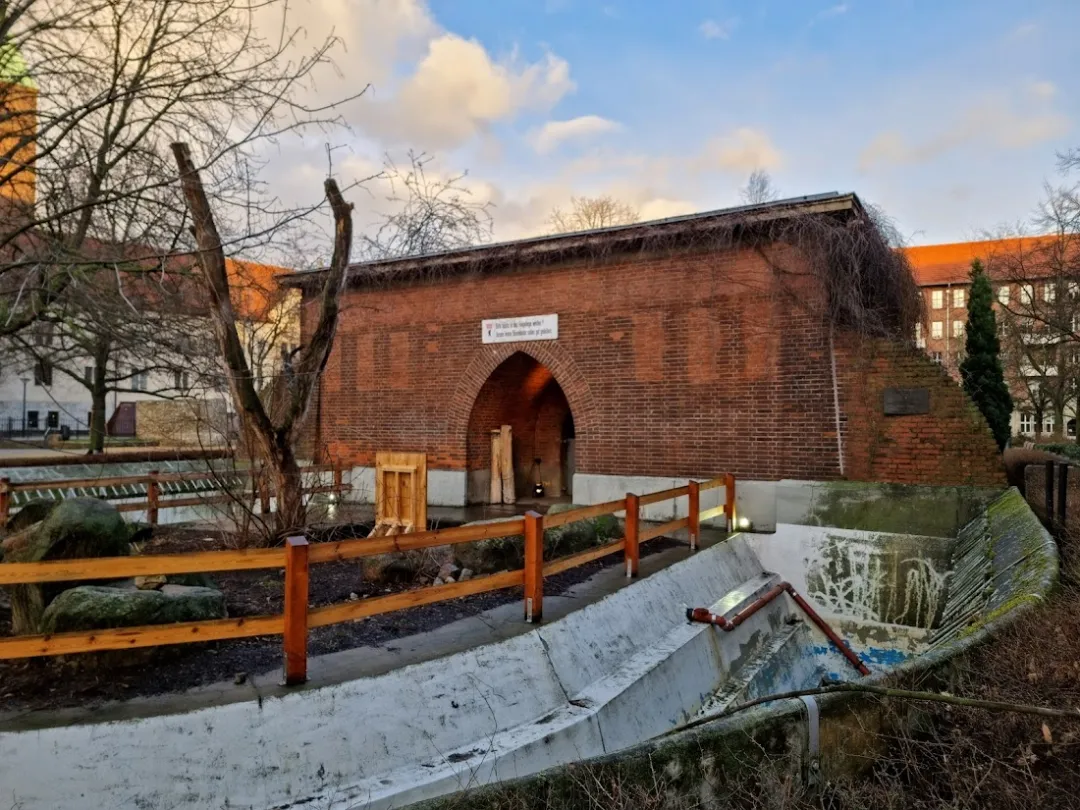 Bärenzwinger in Mitte – Foto 4