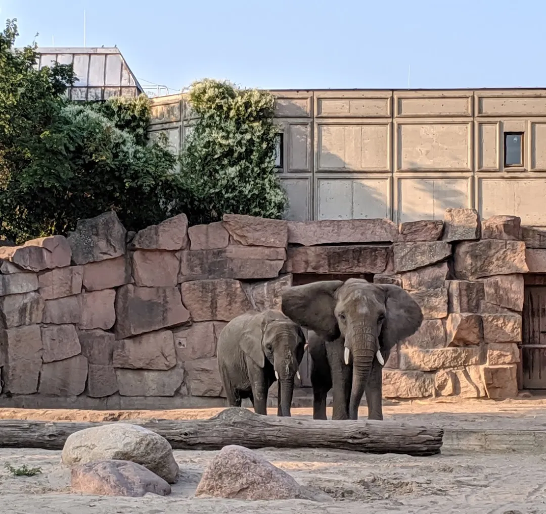 Tierpark Berlin – Foto 5