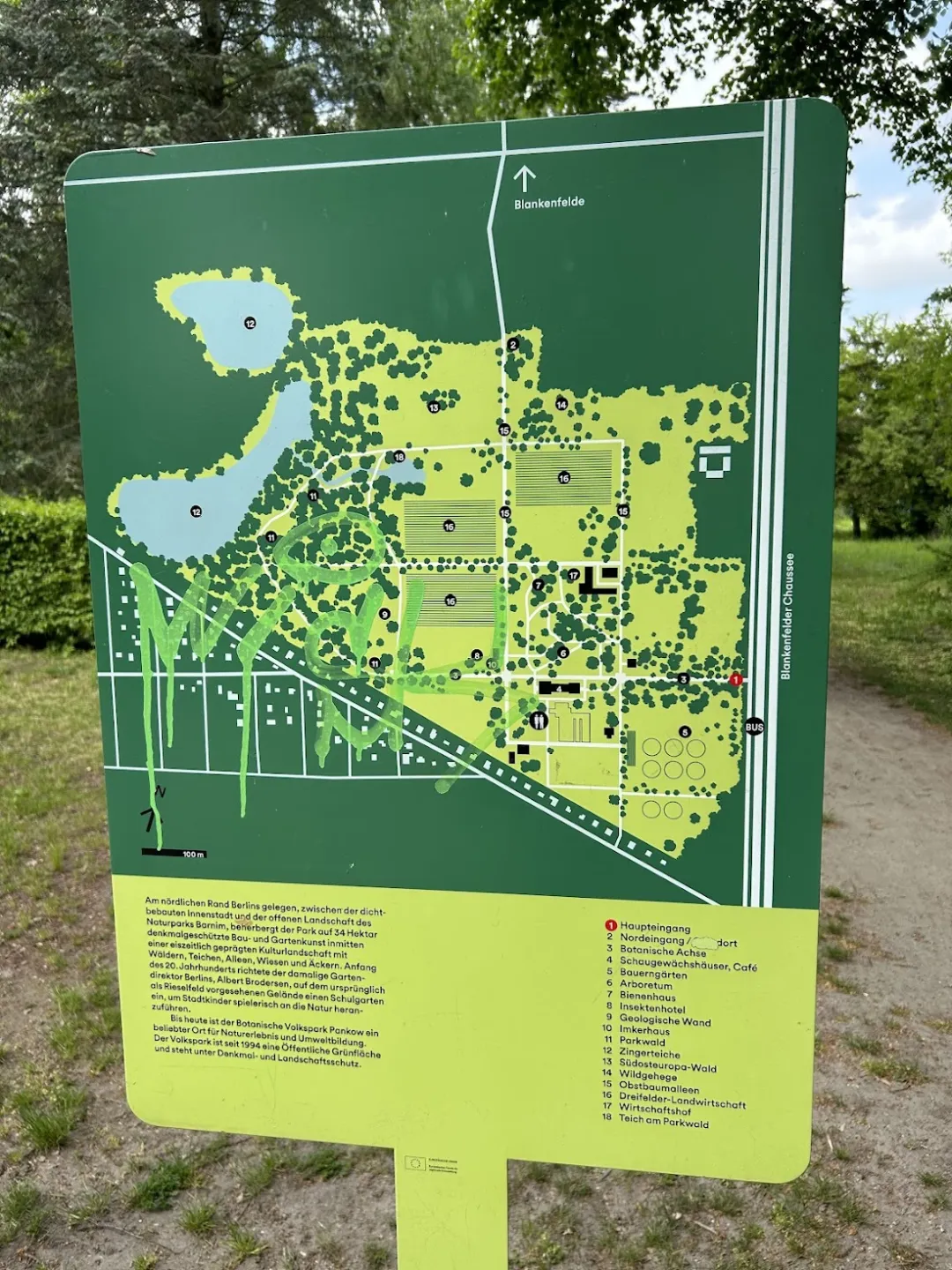 Botanischer Volkspark Blankenfelde-Pankow – Foto 5