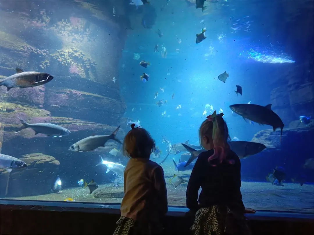 Aquarium Berlin – Foto 5
