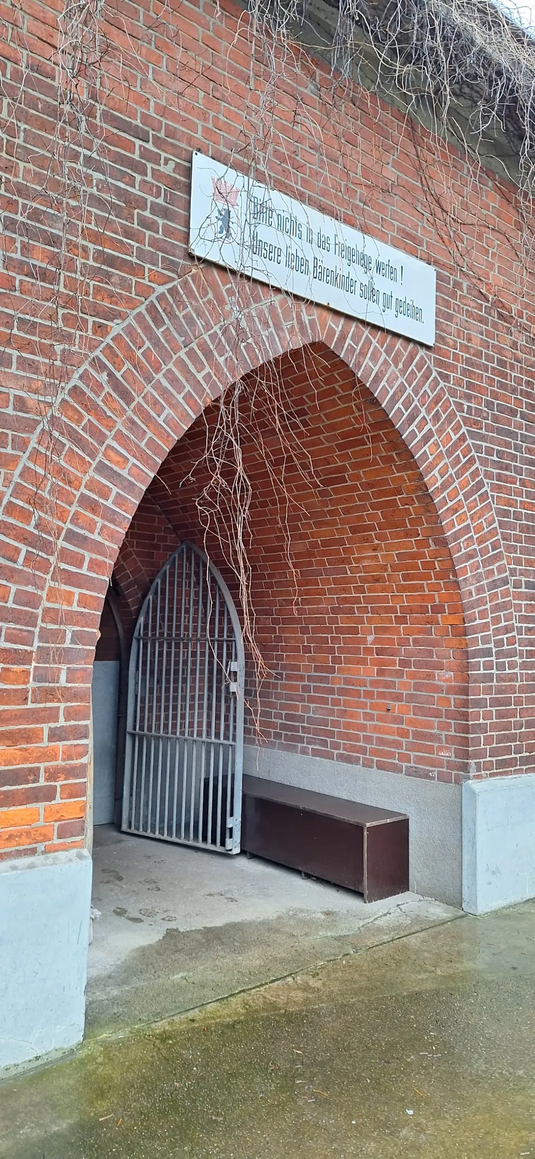 Bärenzwinger in Mitte – Foto 2