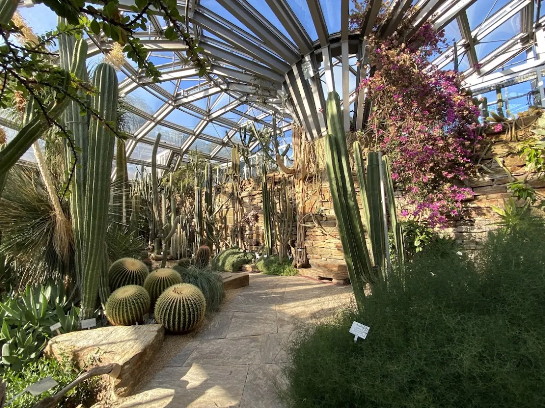 Botanischer Garten und Botanisches Museum – Foto 4